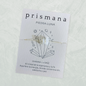 Pulsera Ajustable Piedra Luna